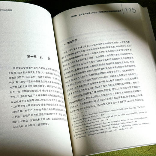 从研究型大学到地方高校 博士毕业生的适应挑战与学术发展 李永刚 商品图12