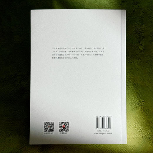 创建优质学校的六项行动 学校变革手册 一校一策 商品图2