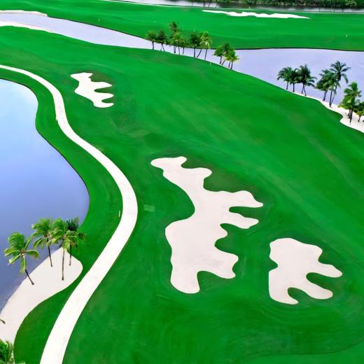 马来西亚新山·森林城市高尔夫俱乐部  Forest City Golf Resort  I  新山高尔夫球场  I 马来西亚高尔夫  I 东南亚 商品图3