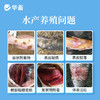 华畜复合流迷沙星500ml 水霉克星 腐皮烂鳃 烂尾出血 每瓶可用4-5亩 商品缩略图1