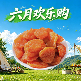 杏脯（红杏干）200g