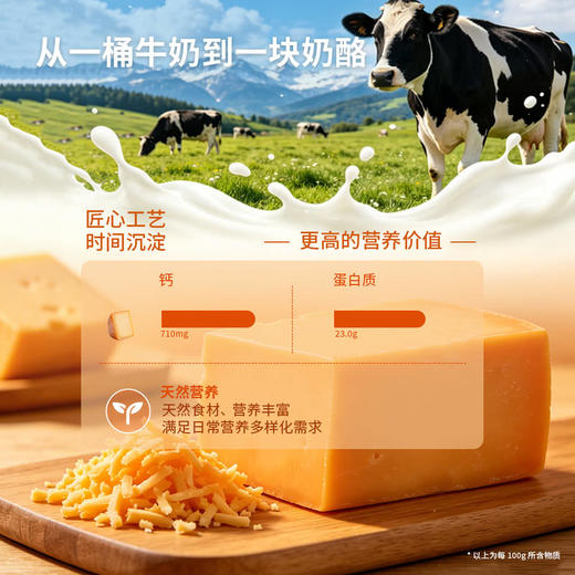 MM 山姆 Challenge淡味橙色车达奶酪碎 907g 商品图6