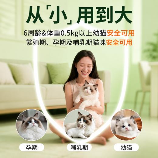巴士宠米尔贝肟吡喹酮片 6片装 猫用体内驱虫 商品图2