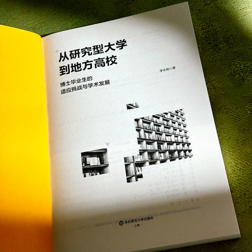 从研究型大学到地方高校 博士毕业生的适应挑战与学术发展 李永刚 商品图5