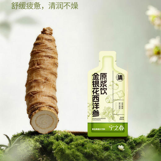 “支持试喝6袋”宁之春 金银花西洋参原浆饮 清润回甘 清爽醇厚 30ml/袋 商品图3