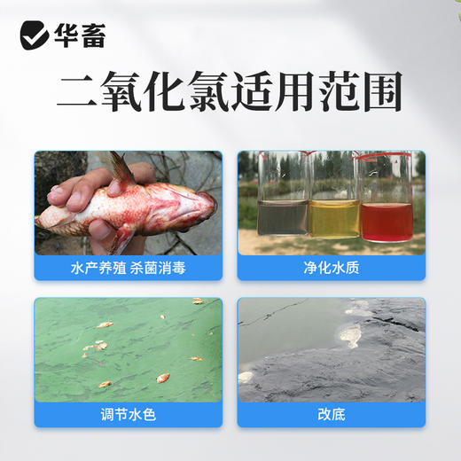 华畜二氧化氯片水产养殖鱼塘消毒杀菌鱼虾池塘水库消毒剂 商品图2