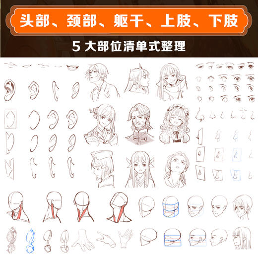 解构人体 动漫人体结构基础与绘制技法 二次元动漫人物手绘技法人体结构动态角色设计漫画造型游戏动漫绘画教程书素描临摹画册 商品图3