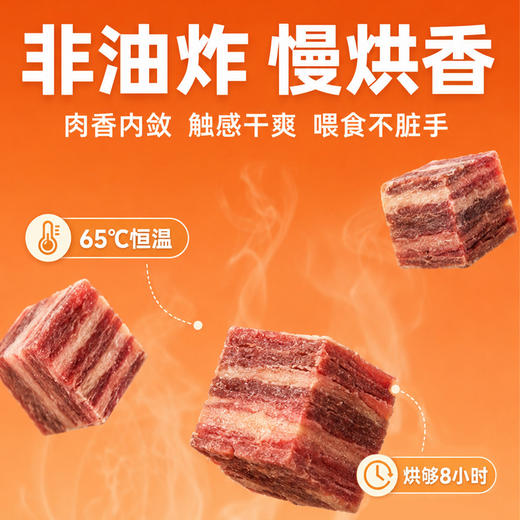 冒险与它雪花牛肉粒180g罐装狗狗零食烘干牛肉通用幼犬成犬补营养 商品图3