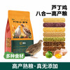 芦丁鸡饲料500g8合1芦丁鸡主粮混合蔬菜粒育雏芦丁鸡食粮产蛋粮 商品缩略图0