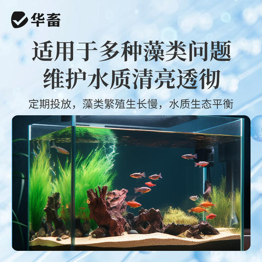藻静500ml 商品图2