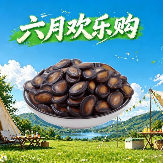 炒西瓜子370g 商品图0