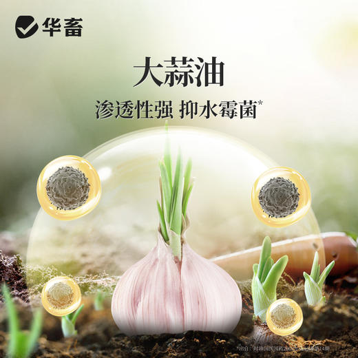 华畜复合流迷沙星500ml 水霉克星 腐皮烂鳃 烂尾出血 每瓶可用4-5亩 商品图2