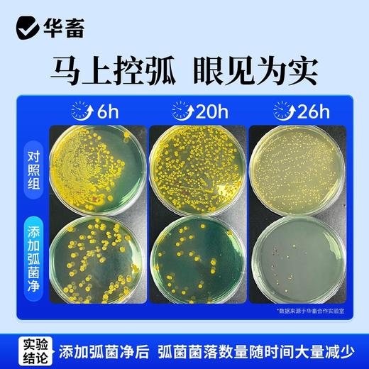 华畜弧菌克星弧净清水产养殖鱼虾杀菌白斑空肠空胃噬菌海缸弧克 商品图2