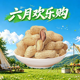 干炒花生500g
