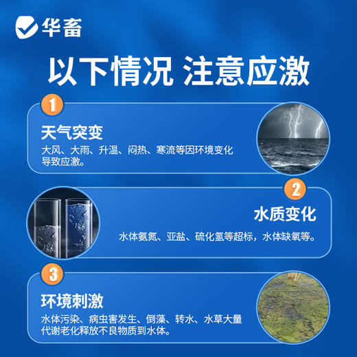 华畜鱼用VC应激宝水产养殖专用药维生素c虾蟹电解多维抗应激解毒 商品图2