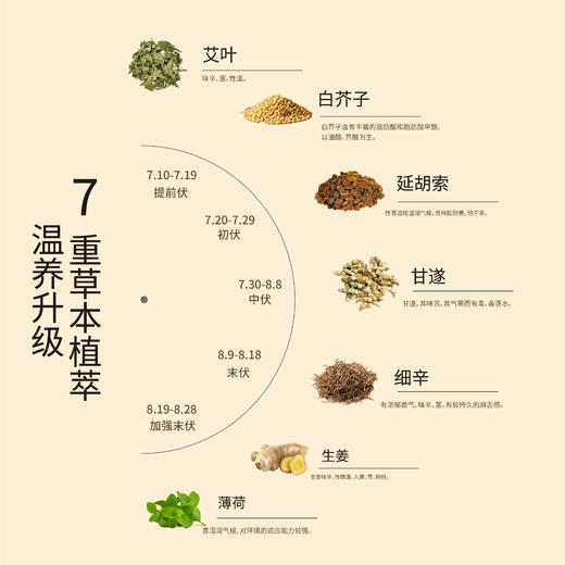 福林堂 三伏贴 贴敷透气 亲肤舒适 30贴/袋 商品图3