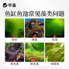 藻静500ml 商品缩略图1