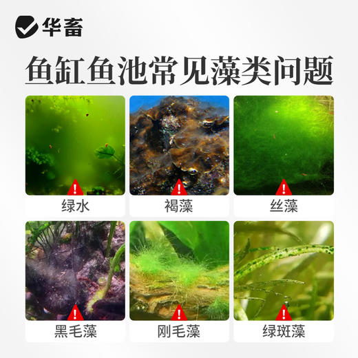 藻静500ml 商品图1