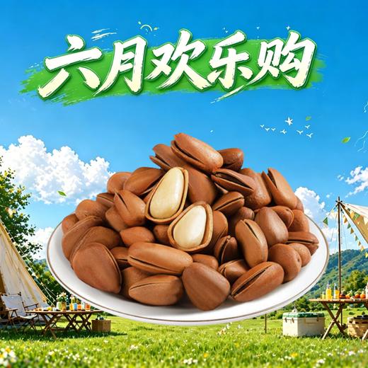 开口松子250g 商品图0