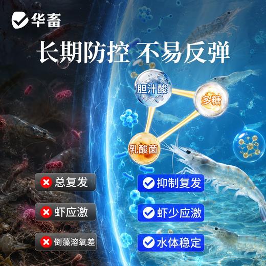 华畜弧菌克星弧净清水产养殖鱼虾杀菌白斑空肠空胃噬菌海缸弧克 商品图4