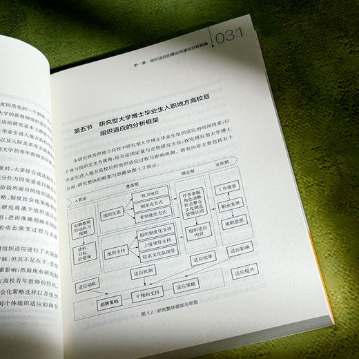 从研究型大学到地方高校 博士毕业生的适应挑战与学术发展 李永刚 商品图9