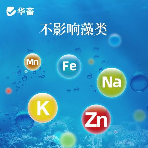 华畜高能颗粒氧增氧颗粒水产制氧增氧片钓鱼鱼塘过碳酸钠鱼池缺氧 商品图2