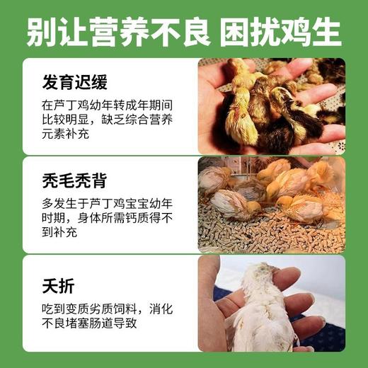 芦丁鸡饲料500g8合1芦丁鸡主粮混合蔬菜粒育雏芦丁鸡食粮产蛋粮 商品图1
