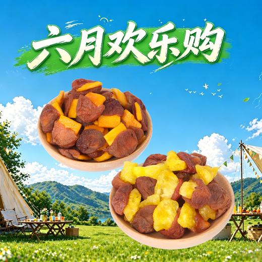 梅有果干（芒果/菠萝）240g 商品图0
