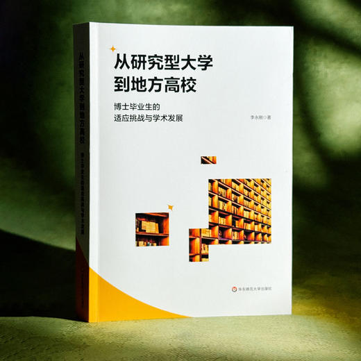 从研究型大学到地方高校 博士毕业生的适应挑战与学术发展 李永刚 商品图3