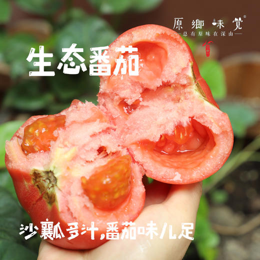 【预售，7月2日发】生态彩色小番茄（基地直发-顺丰包邮）| 来自四川成都，沙瓤多汁，番茄味儿足，生产者：胡雪梅【合作生产，公平贸易】 商品图7