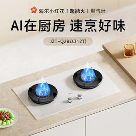 海尔（Haier）灶具 JZT-Q2BEC(12T)