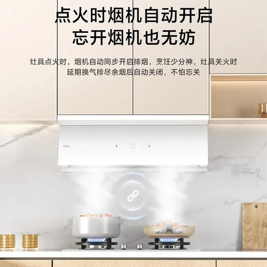 海尔（Haier）灶具 JZT-Q2BEC(12T) 商品图4