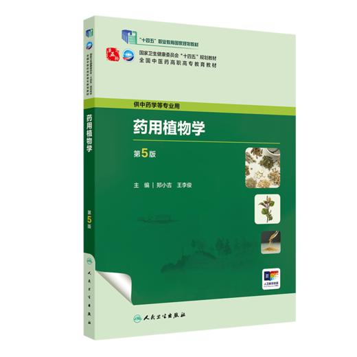 yao用植物学（第5版） 2023年9月学历教材 9787117349338 商品图0