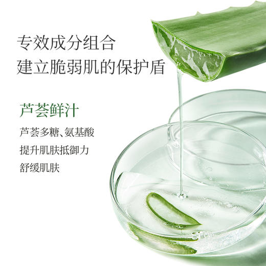 【618现货钜惠】瑷露德玛芦荟倍安舒护乳100g（明星产品） 养：润泽舒缓 内修外护 商品图3