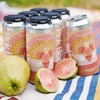 纸飞机 粉啵啵 473ml 商品缩略图1