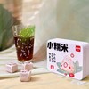 【糯香脑袋必入】皮皮滴小糯米 | 糯米香普洱熟茶/小方糖 醇香茶饮 12颗*1盒装 商品缩略图2