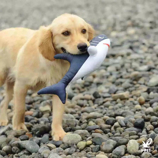 宠物玩具 | V-PET 拯救海洋 狗狗耐咬毛绒玩具 商品图4