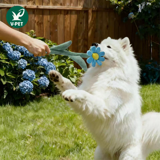 宠物玩具 | V-PET 鲜花 狗狗毛绒玩具 商品图2