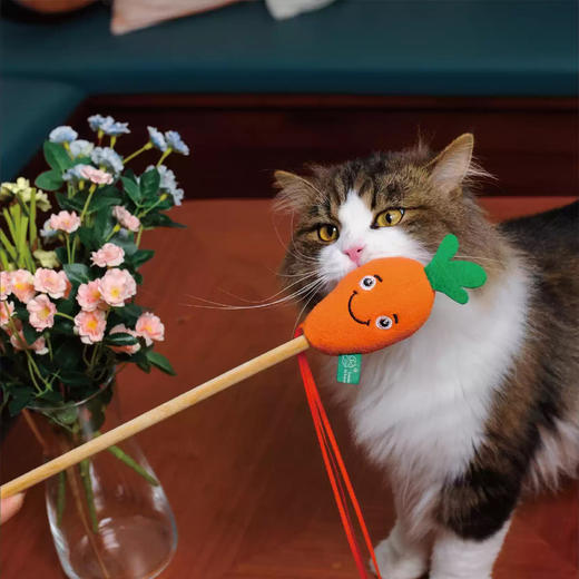 宠物玩具 | V-PET 老鼠叫猫薄荷球逗猫棒 猫猫猫咪玩具 商品图1