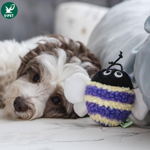 宠物玩具 | V-PET 蜜蜂 狗狗萌趣响纸玩具 商品图1