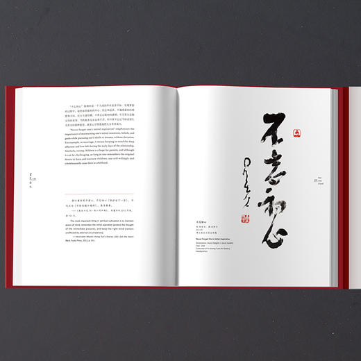 星光云水：星云大师笔墨情怀 商品图5