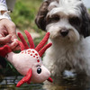 宠物玩具 | V-PET 海洋生物 狗狗趣味响纸玩具 商品缩略图3