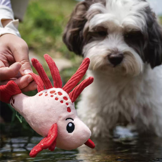 宠物玩具 | V-PET 海洋生物 狗狗趣味响纸玩具 商品图3
