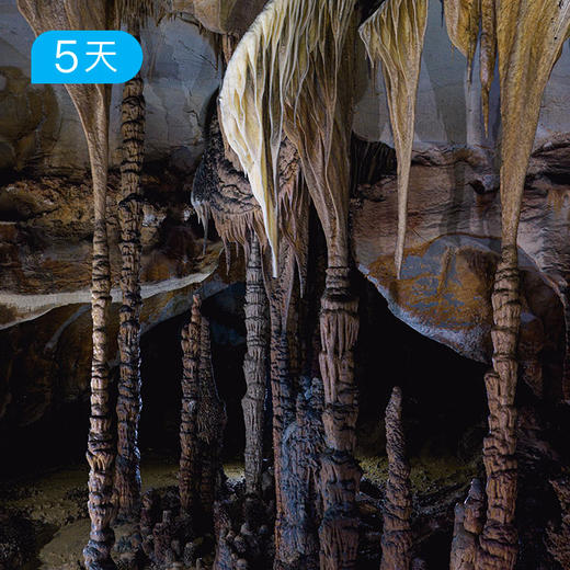 第二届贵州洞穴徒步露营节｜两大精选轻奢营地 + 四大小众避暑目的地 5日 商品图5
