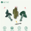 宠物玩具 | V-PET 绿植 狗狗互动玩具 商品缩略图0