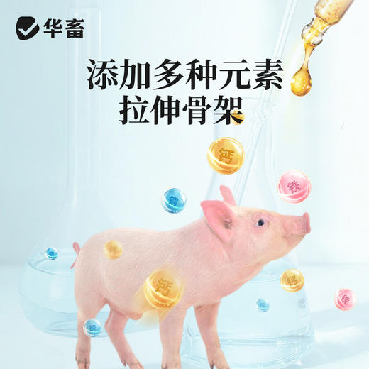 【整吨更优惠】华畜4%仔猪后期复合预混料20kg 适口性好拉骨架 商品图2