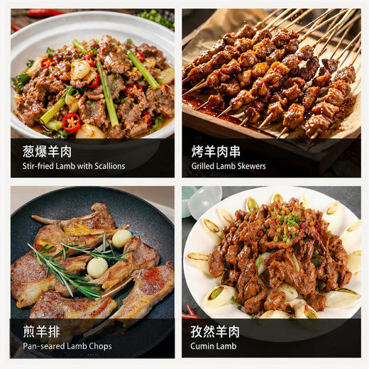 商用木瓜蛋白酶嫩肉粉烧烤羊肉专用腌牛肉猪肉腌料 商品图4