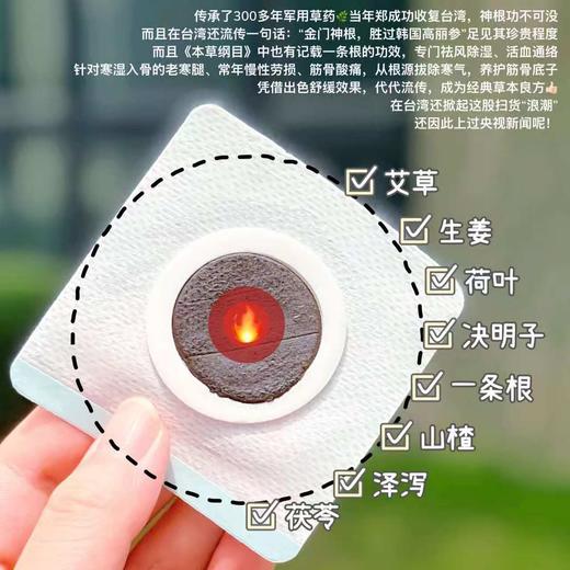 【冬病夏治正当时】李时珍·一条根 三伏贴 添加台湾名药金门一条根 复配八味中草药 驱寒祛湿通经络 舒缓颈肩腰腿 居家理疗神器 全家老小都能用 12贴/盒 商品图2