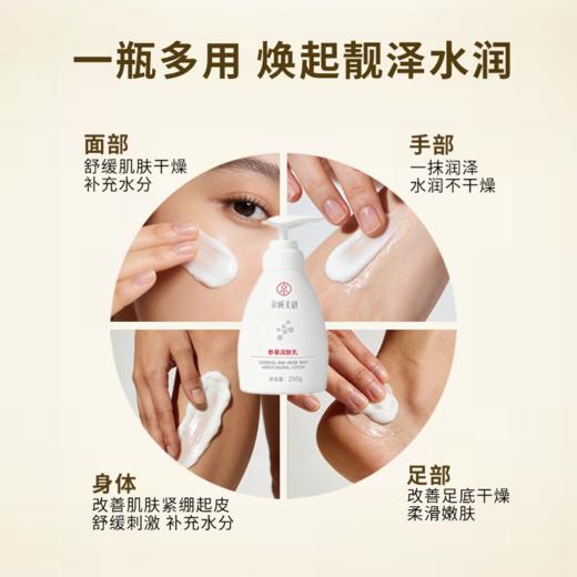 【四种植物精萃】京城美研 京城美研参草润肤乳 250g/瓶 盈润保湿柔滑嫩肤 商品图2