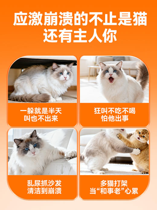 普安特猫咪防应激舒缓剂安抚情绪猫咪外出信息素喷雾插电款猫面部信息素多乐宁 商品图1